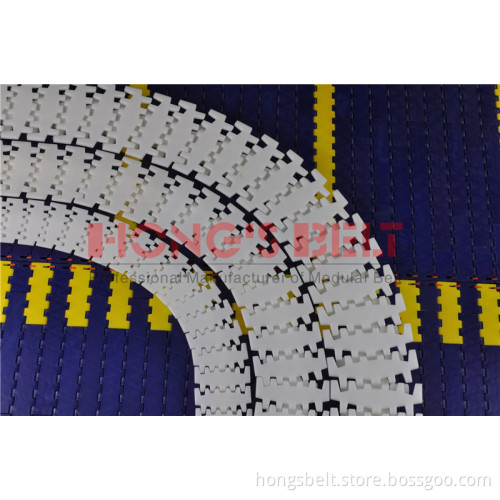 Beverage Industry Curved Plastic Chain